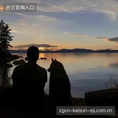 沈维朵